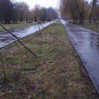 За фактом знищення саджанців у парку Топільче розпочато кримінальне провадження