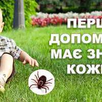 Вкусив кліщ: що робити? Поради та профілактика