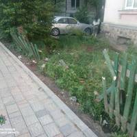 У Тернополі нетвереза кермувальниця зламала паркан і заїхала на чуже подвіря