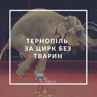 У Тернополі хочуть заборонити цирки з тваринами. Просимо поширити і підписати