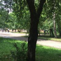 Дамо тітушкам бій, – тернополян кличуть захистити парк Національного Відродження