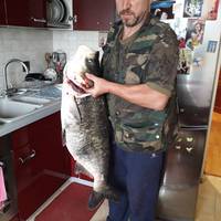 На Ланівецькому ставі впіймали 16-кілограмову рибу (фотофакт)