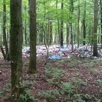 Тернопільщина потрохи перетворюєть на сміттєзвалище (фото)