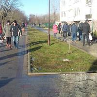 Тернопільський центральний ринок 