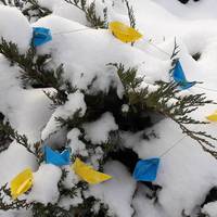 БУДЬ ЛАСКА ПІДТРИМАЙТЕ! На допомогу українських військовополонених моряків стартував флешмоб 