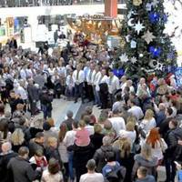 Збирають 1000 учасників: тернополян запрошують до спільної коляди 8-го січня. Фото