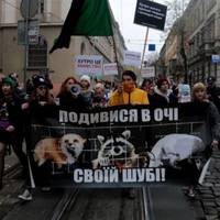 Тернополі пройде антихутряна акція “Знімай хутро назавжди!”