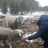 Подружжя медиків з Тернопільщини облаштували міні-звіринець (ФОТО)
