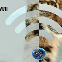 Тернополян просять 30 березня вимкнути світло