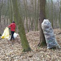 Тернопільські бігуни сьогодні прибирали Кутківецький ліс (фото)