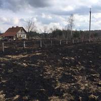 Кілометри вигорілої трави, - у фейсбуці показали вражаючі наслідки паління сухостою. Фото