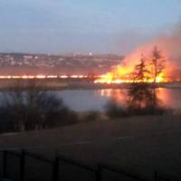 Рятувальники розповіли деталі масштабної пожежі під Тернополем (ФОТО)