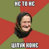 Нє то нє, цілуй конє: кого, як і куди найчастіше посилають українці (18+)