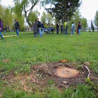 “Це єдине місце біля Ставу, де ще немає бару, ресторану чи будинку”. Тернополян просять прийти захистити парк