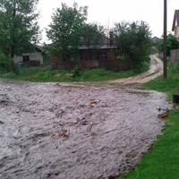 У соцмережах показали наслідки зливи у селі на Тернопільщині (Фото)