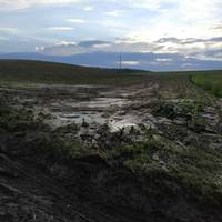 “Це катастрофа”: у мережу потрапили фото із наслідками негоди на Тернопільщині (ФОТО)