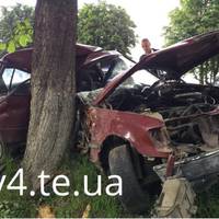 Автівка в`їхала у дерево на вулиці Микулинецькій у Тернополі