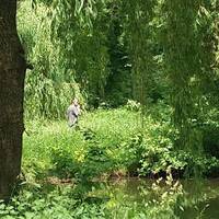 У Тернополі - збочинець: ЗМІ пишуть про чоловіка, який лякає людей в парку 