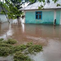 У хаті по коліна води: на Тернопільщині просять допомогти мамі трьох дітей