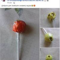 Жителька Тернопільщини купила льодяник із живими організмами