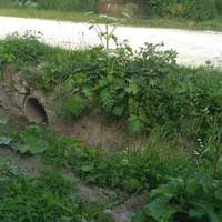 Село на Лановеччині скоро зникне з лиця Землі: мешканці скаржаться на безлад (ФОТО)