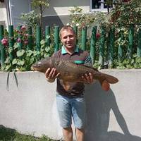 На Кременеччині рибалки виловили рекордного коропа