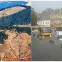 “Одна смерека затримує до 5-ти тон води! Не дивуйся, коли твою хату змиє повінь!”