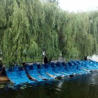 Від сьогодні на Тернопільському ставі стартує ще один прокат катамаранів