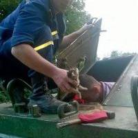 У Тернополі співробітники ДСНС врятували кошеня (ФОТО)