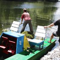 Навколо острівця «Чайка» чистять водойму від водоростей і латаття