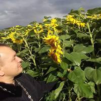 Фото із соняшниками заpади пляшки вина: священник з Теpнопільщини оголосив конкуpс