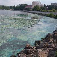 «Нестерпний запах на всю набережну та зелена пліснява», - у що перетворилася головна перлина Тернополя (фото, оновлено)