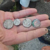 На Тернопільщині викопали скляну посудину, в якій було 6 кілограм старовинних монет. ФОТО