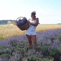 Недалеко від Тернополя росте лавандове поле. ФОТО