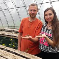 Молода сім’я з Тернопільщини продає власно вирощених равлики по усій Європі