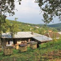 Літо на Тернопіллі: закинуті села і неповторні краєвиди (Фоторепортаж)