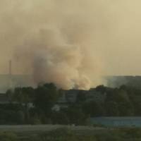 У Тернополі на вул. Микулинецькій масштабна пожежа: горить сміття (Фото)