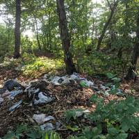 “Гори сміття” – у соцмережі показали як виглядає ліс неподалік Джуринського водоспаду. ФОТО