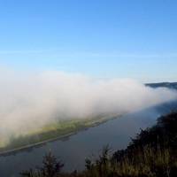 Серпнева краса: річку Дністер вкрив ранковий туман (фото)