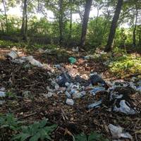 “Гори сміття” – у соцмережі показали як виглядає ліс неподалік одного з найкрасивіших водоспадів Тернопільщини