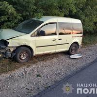 Внаслідок ДТП на Кременеччині постраждала 2-річна дитина (фото)