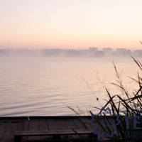 Туманний ранок біля тернопільського ставу. ФОТО
