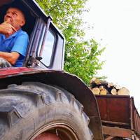 У лісі на Тернопільщині бізнесмен незаконно вирубував ліс та продавав зі словами «все рішено» (фото)