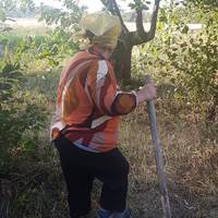 У селі біля Тернополя жінка так позбувалася сміття, що мало не спалила чужий будинок (Фото)