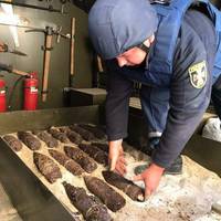 В Тернополі на території школи знайшли арсенал: Навчання призупинили