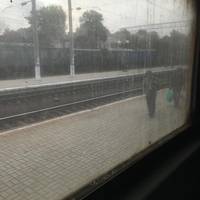 Вартість зросла, а сервіс — дно. Тернополянка показала, як зараз виглядає електричка Тернопіль-Львів. ФОТО