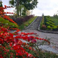 Ідеальна місцина для фотосесій: осінь почаклувала у Кременецькому ботанічному саду (Фото)