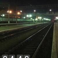 ЗМІ опублікували останні фото, які перед смертю зробив фанат 