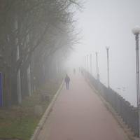 Наче кадри з містичного фільму: у мережі показали туманний Тернопіль