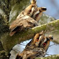 Фото природи Тернопільщини увійшло в Топ-10 найкращих світлин